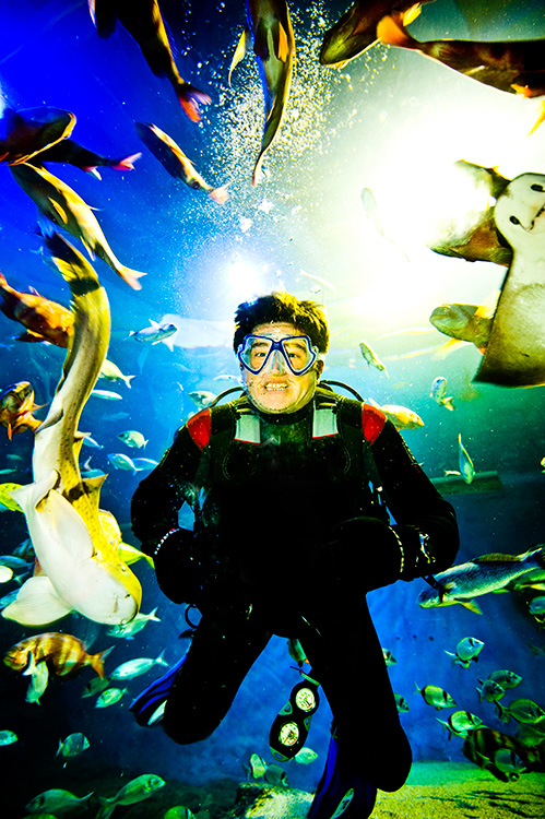 aquarium