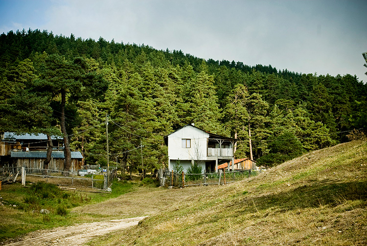 bolu