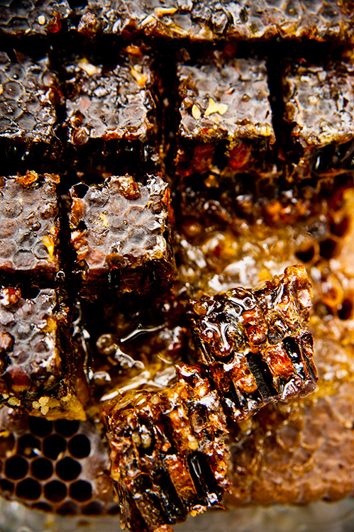 honey-2